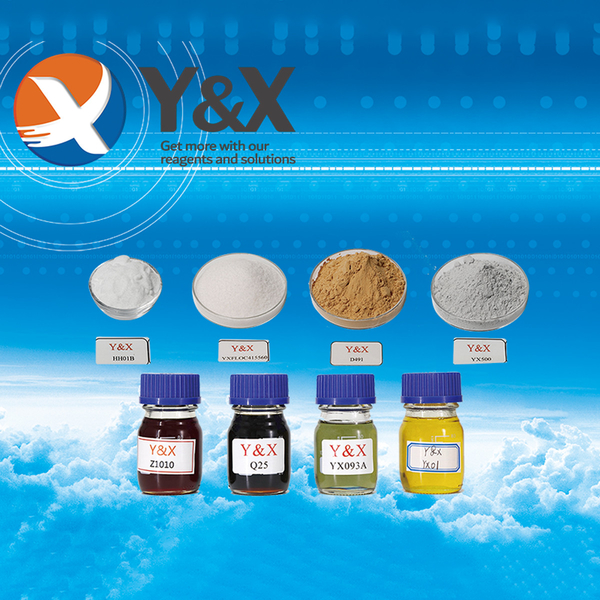 CHINA Y&X Beijing Technology Co., Ltd. Profiel van het bedrijf 